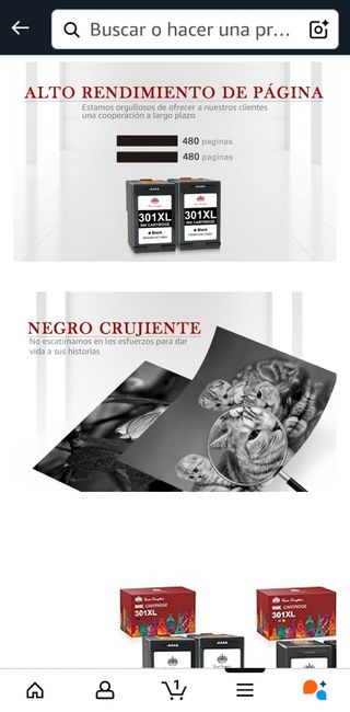 Cartuchos tinta 301XL (x2)