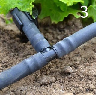 Conectores Rega Geolia 16mm - 25 peças