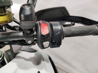 Triumph TIGER 1200 GT EXPLORER