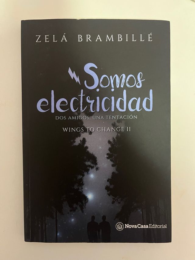 Somos electricidad (Spanish Edition)