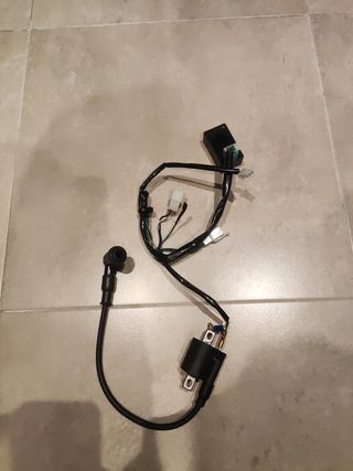 Cableado Pitbike Z190