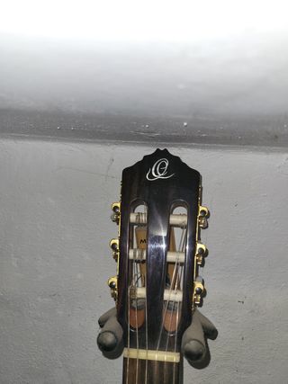 Guitarra Ortega RCE138SN