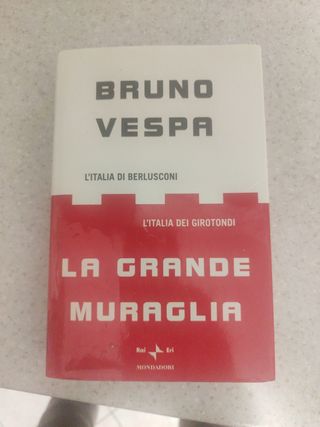 La grande muraglia. L'Italia di Berlusconi. L'I...