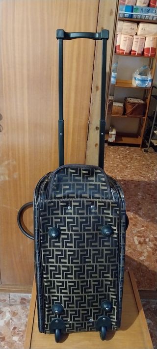 Bolsa de viaje con ruedas