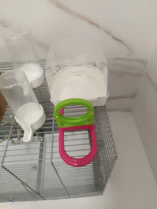 Jaula pajaros grande plata