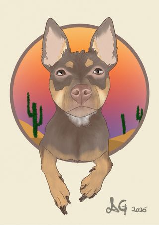 Ilustraciones personalizadas