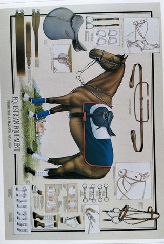 Equipaggiamento Cavalli e stampa. 