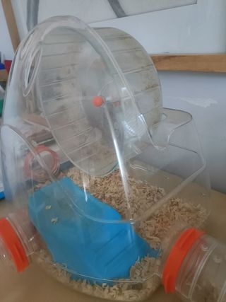 Jaula hámster pequeña