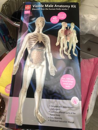 Kit Anatomía Humana (56cm) para matores de 10 años