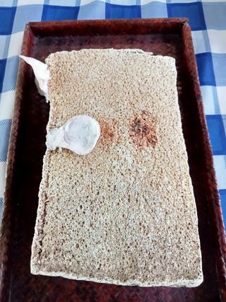 Cimelio marino: sughero & fossili