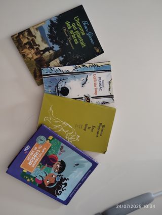 Lote 4 libros de lectura en francés