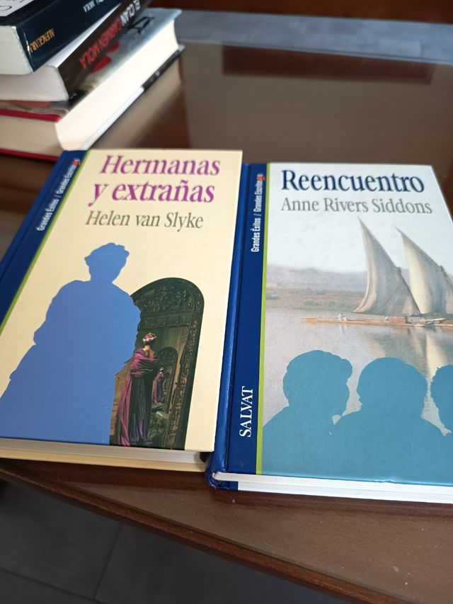 Hermanas y estrañas y reencuentro