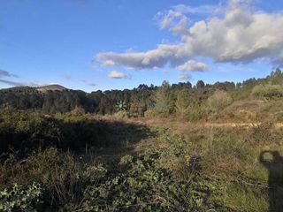 Terreno en venta en Benigánim