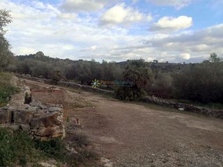 Terreno en venta en Benigánim
