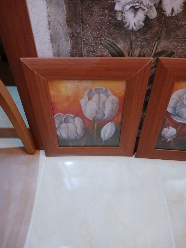 Cuadros flores - Decoración hogar