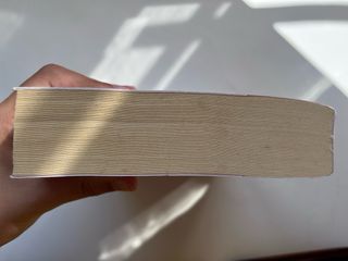 La promesa de Julia