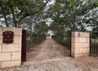 Casa adosada en alquiler en Sant Llorenç des Cardassar