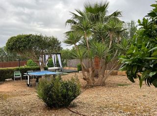 Casa adosada en alquiler en Sant Llorenç des Cardassar