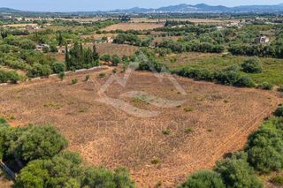Terreno en venta en Manacor Centro en Manacor