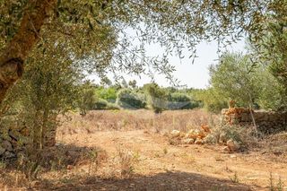 Terreno en venta en Manacor Centro en Manacor