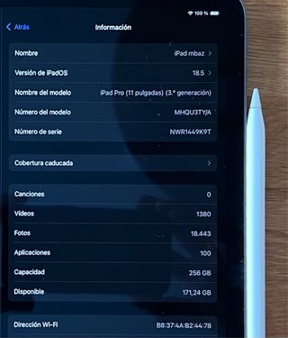 iPad Pro 11" M1 WiFi 256Gb con accessori