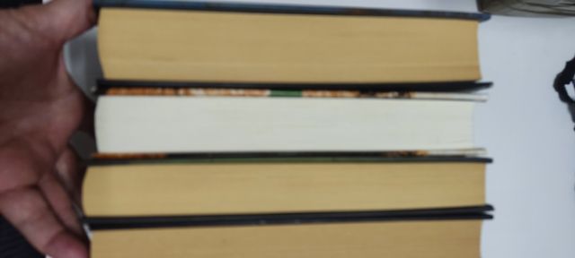 Lote libros de intriga 