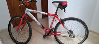 Bicicleta JL-Wenti montaña niño de 26 pulgadas