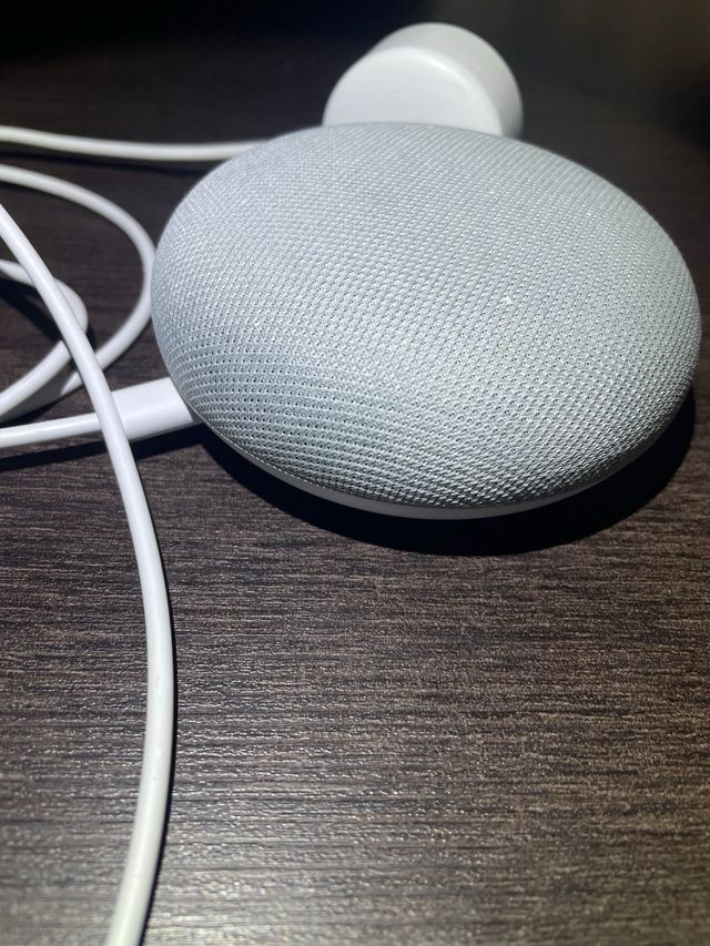 Google Home Mini Gris|Blanco