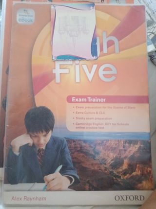 High Five 3+workbook 