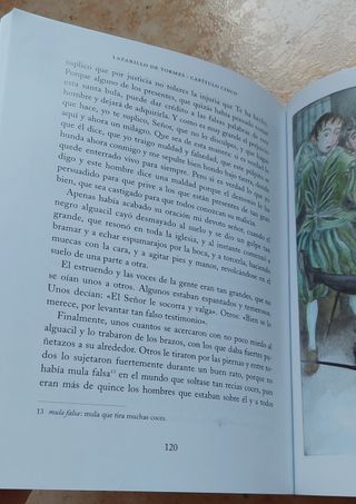 El Lazarillo De Tormes N/c (clasicos Adaptados)...