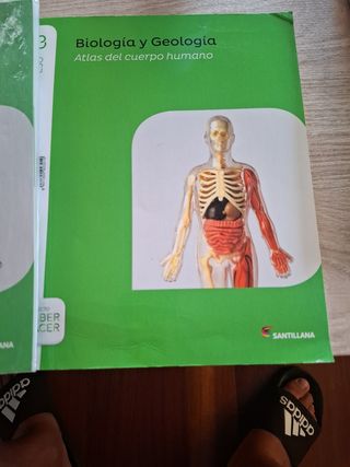 Libros biología y geología 3 eso