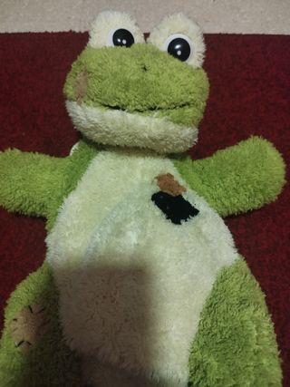 Mochila rana verde