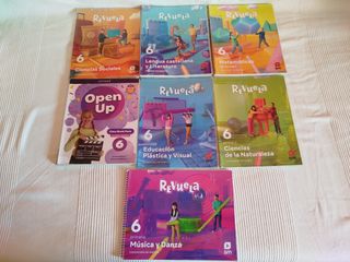 Lote libros Editorial SM 6° Primaria