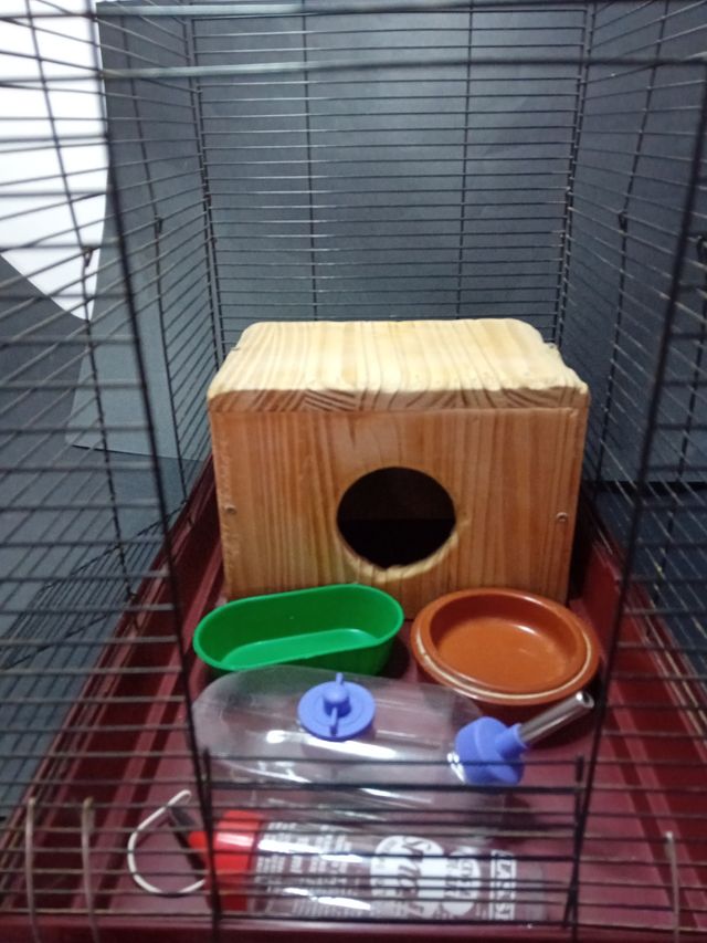 Jaula roedores: Conejos, Cobayas, Chinchillas.