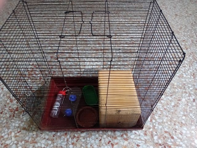 Jaula roedores: Conejos, Cobayas, Chinchillas.