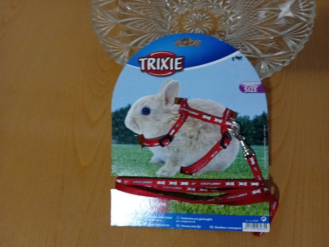 Jaula roedores: Conejos, Cobayas, Chinchillas.