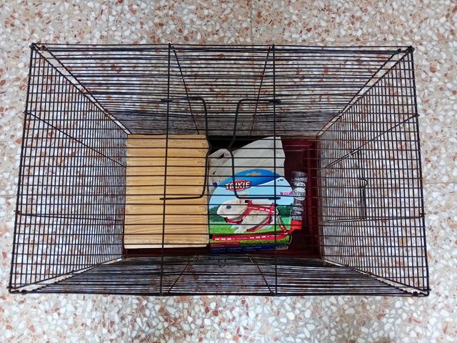 Jaula roedores: Conejos, Cobayas, Chinchillas.