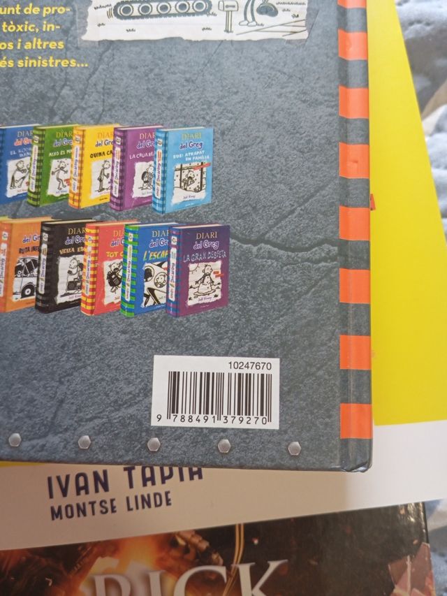 Diari del Greg 14. Desastre total