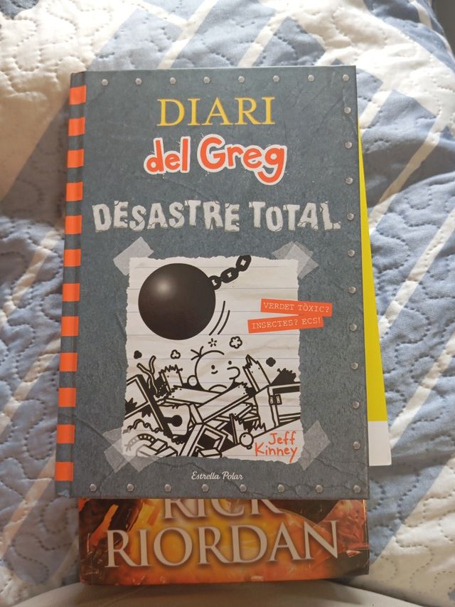 Diari del Greg 14. Desastre total