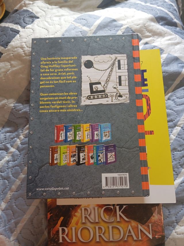 Diari del Greg 14. Desastre total