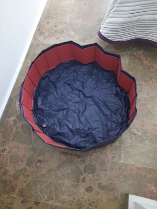 Piscina plegable perros