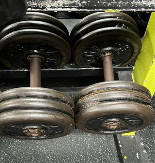 Mancuernas hierro 30kg - cada una