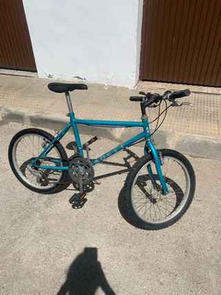 Bicicleta niño 20 pulgadas
