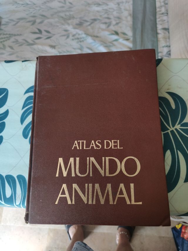 Atlas del mundo animal