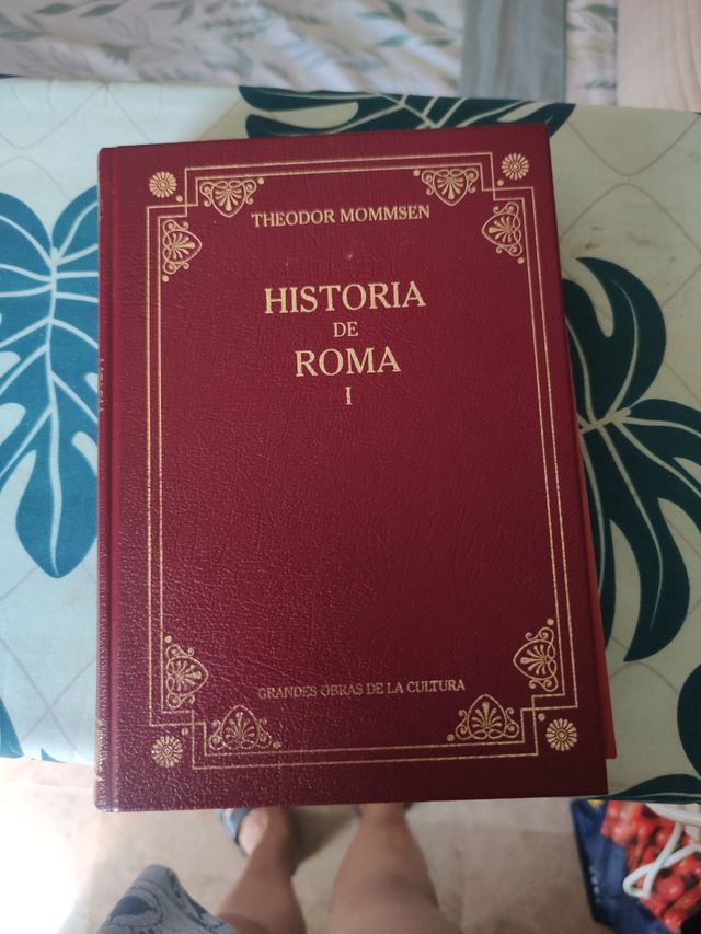 Historia de roma 1