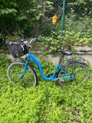 Bicicleta clásica azul