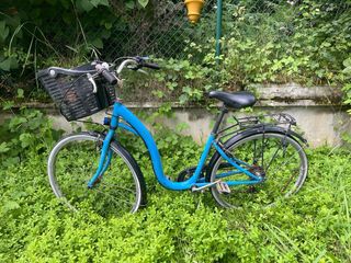 Bicicleta clásica azul