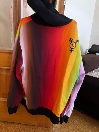 Sudadera Calvin Klein Jeans multicolor
