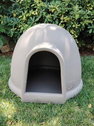 Cuccia Igloo Telcom tg. Media