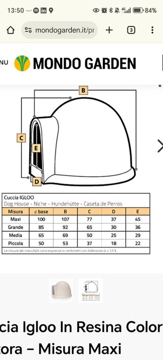 Cuccia Igloo Telcom tg. Media